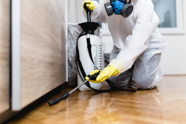 Trusted Corydon, IA Pest Control Experts