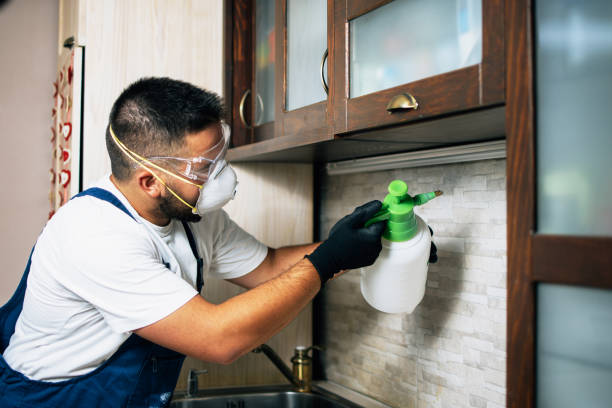 Best Mosquito Control Services  in Corydon, IA