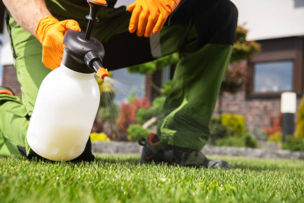 Best Pest Removal Services  in Corydon, IA