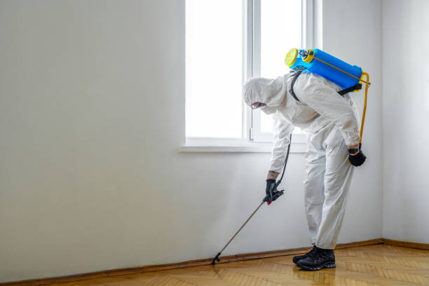 Best Commercial Pest Control Services  in Corydon, IA