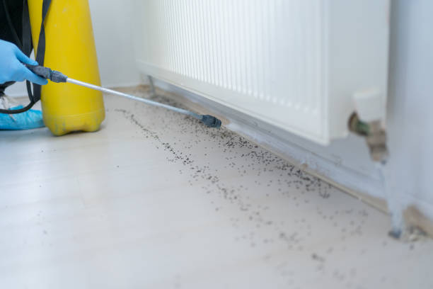 Best Best Pest Control Companies  in Corydon, IA